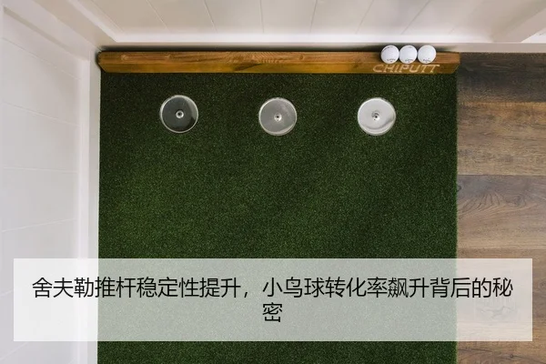 舍夫勒推杆稳定性提升，小鸟球转化率飙升背后的秘密