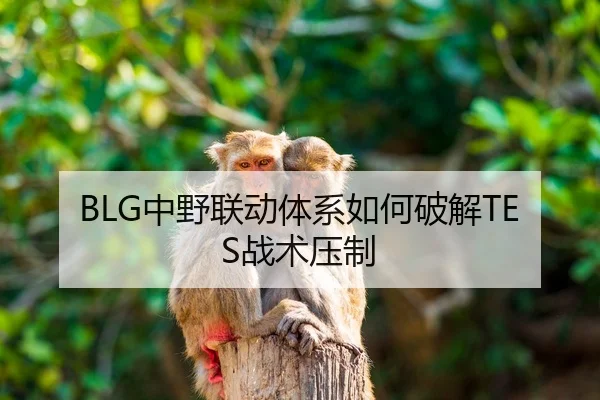 BLG中野联动体系如何破解TES战术压制