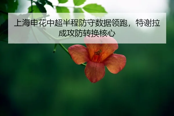 shang-hai-shen-hua-zhong-chao-ban-cheng-fang-shou-shu-ju-ling-pao-te-xie-la-cheng-gong-fang-zhuan-huan-he-xin-2-691.jpg