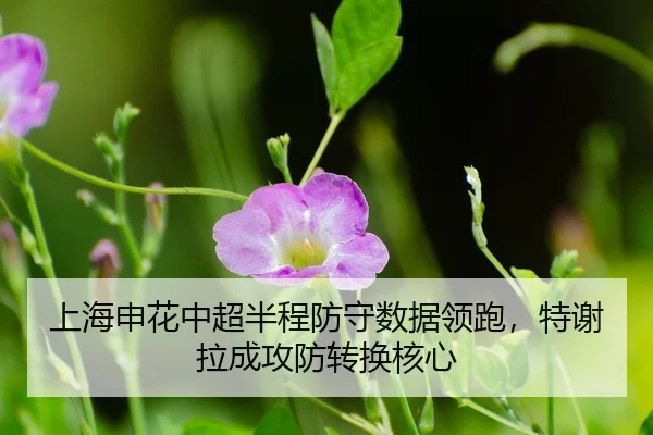 shang-hai-shen-hua-zhong-chao-ban-cheng-fang-shou-shu-ju-ling-pao-te-xie-la-cheng-gong-fang-zhuan-huan-he-xin-3-887.jpg
