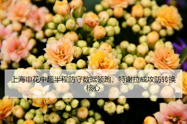 上海申花中超半程防守数据领跑，特谢拉成攻防转换核心